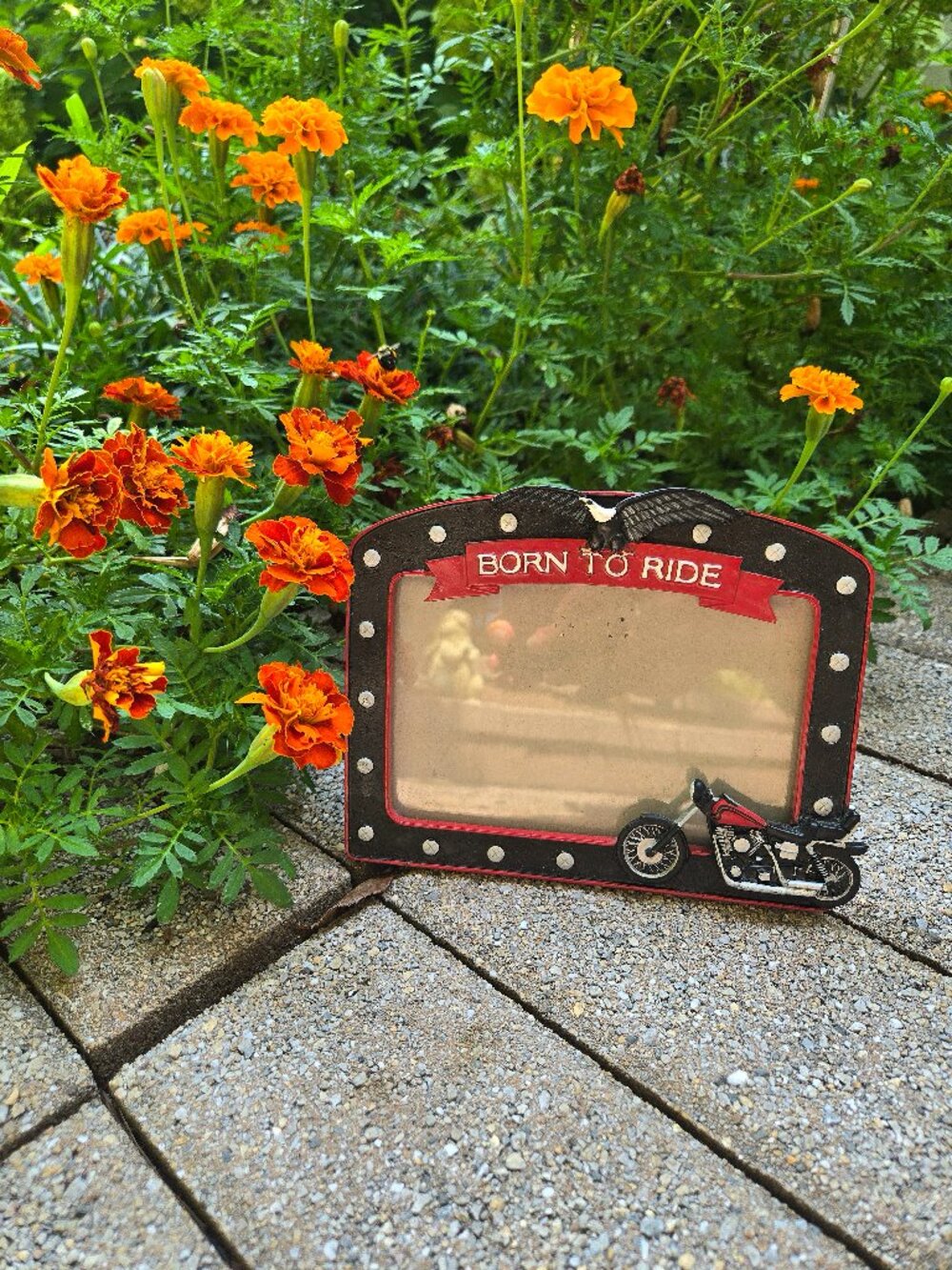 Vintage Born to Ride 3D Motorcycle Black Bike ChopperPicture Frame